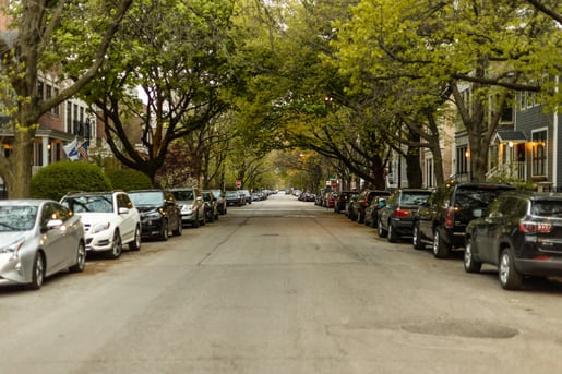 ree-lined city street with parked cars